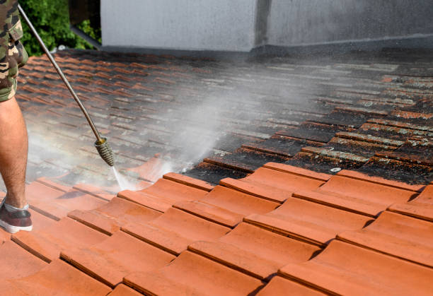 Best Sidewalk Pressure Washing  in Layhill, MD